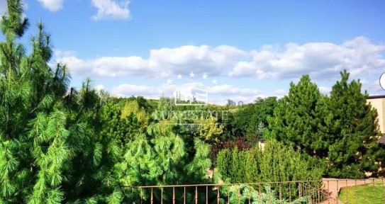 Харківська область, Харків, Шевченківський