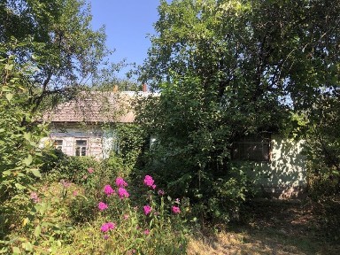 Продам будинок в с. Вовчок