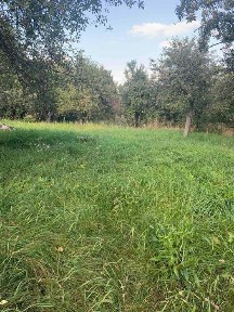 Чернігівська область, Прилуки