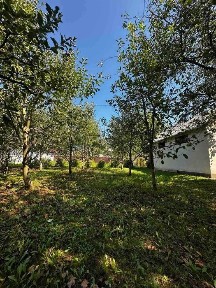 Закарпатська область, Руське Поле