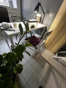 Чернівецька область, Чернівці