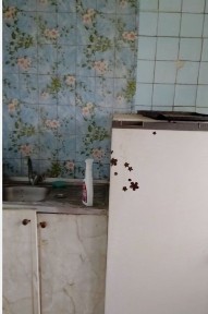 Миколаївська область, Миколаїв, Iнгульський