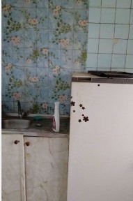 Миколаївська область, Миколаїв, Iнгульський