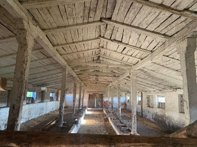 Продам ферму корівник Бучанський р-н, с. Борівка