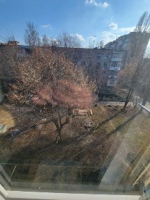 Вінницька область, Вінниця