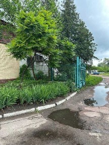 Чернігівська область, Олишівка