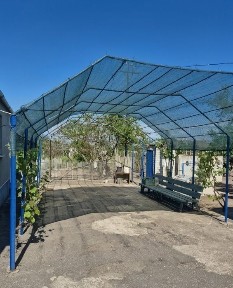 Миколаївська область, Миколаїв, Центральний