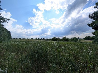 Івано-Франківська область, Підлужжя