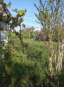 Продам Дачу, в с. Галициново, кооператив Океан, 2х эт домик, 3 комн.