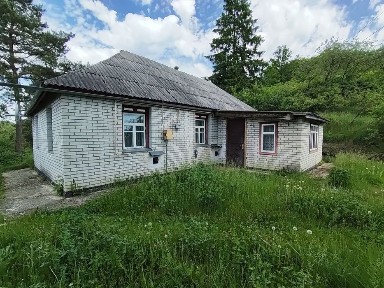 Київська область, Велика Вільшанка