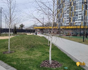 Киев, Евгения Маланюка ул.