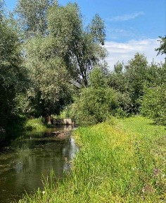 Полтавська обл., Полтавський район, с. Терешки, Річкова