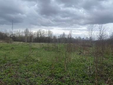 Терміново продам житловий будинок з великою земельною ділянкою в смт. Брусилів (Морозівка) 75 км. від м. Києва