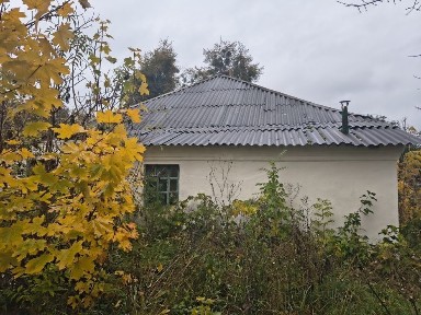 Житомирська область, Левків