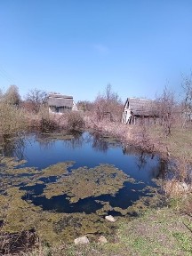 Продається приватизована дачна ділянка 12 соток з водоймою.