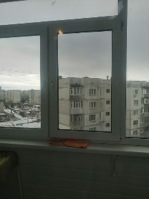 Сумська область, Суми