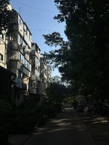 Львівська область, Львів, Шевченківський