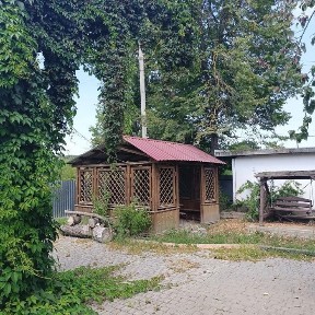 Хмельницька область, Суржа
