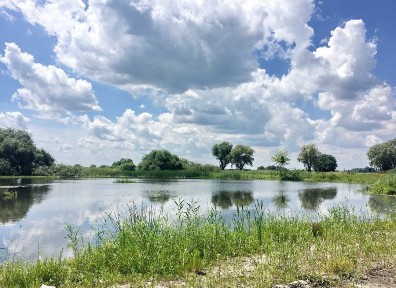 Киевская обл., Бориспольский район, с. Гнедин