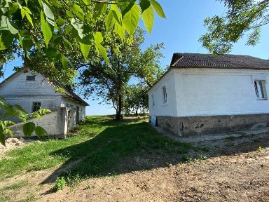 Київська обл., Білоцерківський район, с. Трушки
