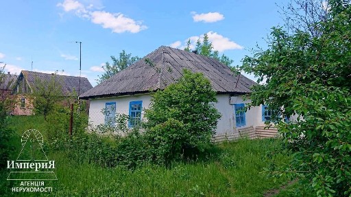 Киевская обл., Белоцерковский район, с. Сухолесы