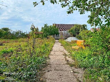 Киевская обл., Белоцерковский район, г. Белая Церковь, Южная ул.