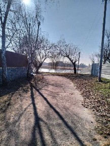 Київська обл., Рокитнянський район, с. Насташка, Зарічанська, 68