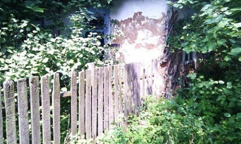 Киевская обл., Вышгородский район, с. Савенки, Комсомольская ул., 21