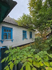 Киевская обл., Ракитнянский район, с. Троицкое, Центральна, 1