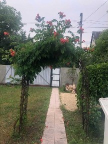 Київська обл., Обухівський район, с. Підгірці, СТ Волга