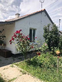 Київська обл., Білоцерківський район, с. Фурси
