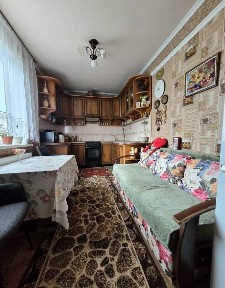 Киевская обл., Сквирский район, с. Шамраевка, Городище, 30