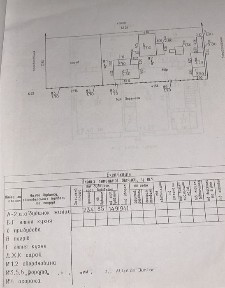 С. ВОРОНИНЦІ, Будинок біля Дніпра, з Газом та пічним опаленням