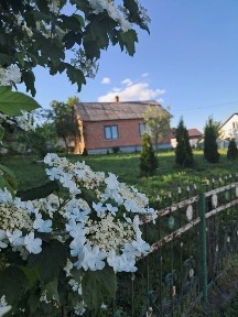 Продаж цегляного будинку