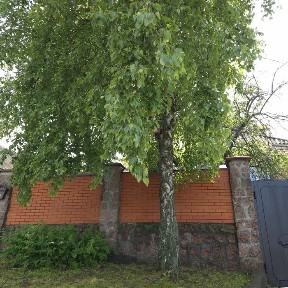 Кіровоградська область, Кропивницький, Фортечний