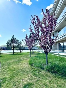 ‼️БЕЗ % ОРЕНДА квартири в ЖК <a href='/newbuilding/6602/view/zk-park-lake-city'>Park Lake City</a> Озеро Підгірці