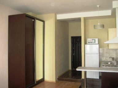 Аренда 1-комнатной квартиры 28 м², Дружбы Народов бул., 14/16