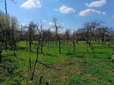 Ваша ферма мрії всього за 30 хвилин від міста