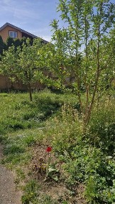 Здається, 3- ох кімнатна квартира, по вул. Електрозаводська