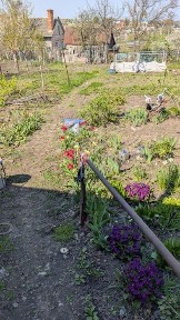 Будинок на Шишкарівській