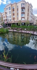 Київська область, Софіївська Борщагівка