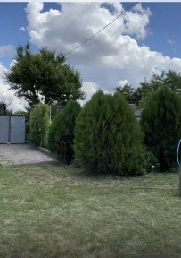 Продаж садиби з великою земельною ділянкою біля річки Псьол