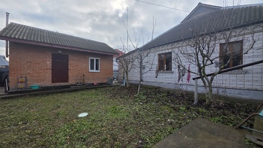 Київська область, Бориспіль