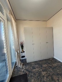 Київська область, Петропавлівська Борщагівка