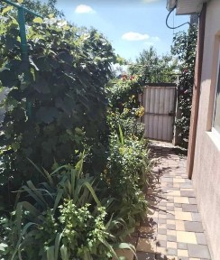 Дніпропетровська область, Дніпро, Шевченківський
