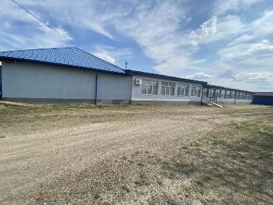 ‼️ТЕРМІНОВО ПРОДАМ торгівельно-промисловий комплекс у передмісті Берегова с. Боржа