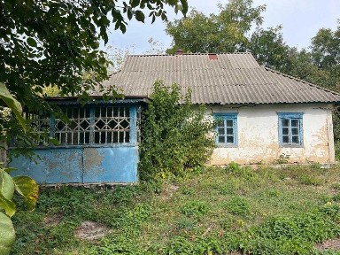 Будинок, Вільшана, земельна ділянка