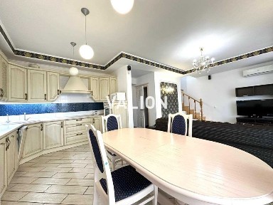 Продаж будинку 160 м. кв в с. Велика Олександрівка, Без %