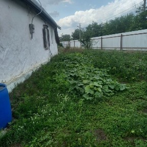 Продам будинок в м. Васильків з земельною ділянкою 30 соток