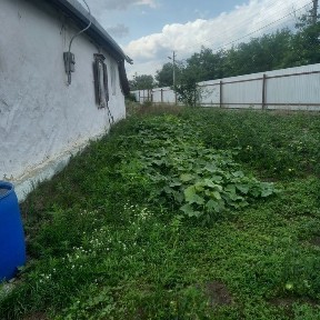 Продам будинок в м. Васильків з земельною ділянкою 30 соток